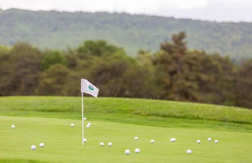 Golf Course Views Hot Tub Games & Pool Access - Foto 46