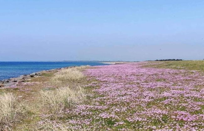 10 Person Holiday Home in Rodby-by Traum - Foto 37