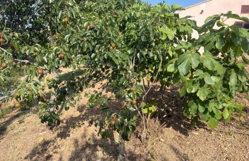 Entre mer et maquis- maison avec piscine privée - 8 minutes plage tizzano - Foto 23