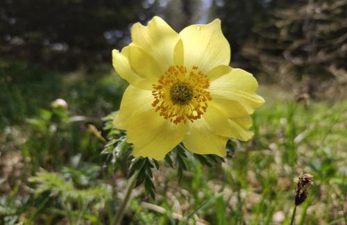 Agritur Belsogno B&B - Foto 94