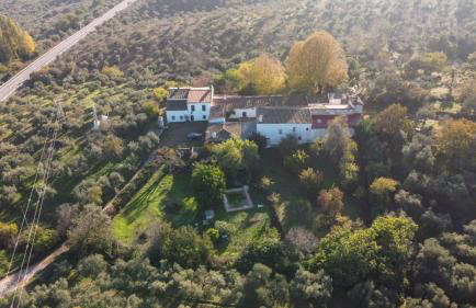 Cortijo San Julián - Foto 52