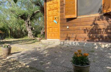 The poet's house - Foto 1