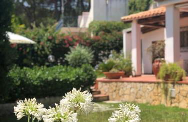 Le tre Palme - Foto 52