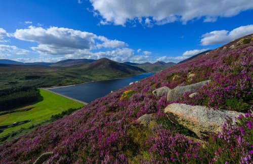 Lilys Pink House - Photo 51