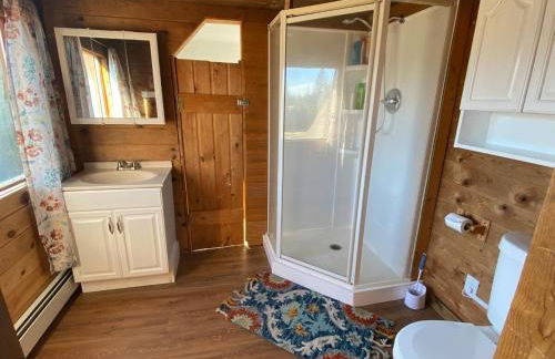 Big Moose Cabin at Moose Tracks - Foto 14