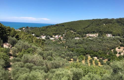 VILLA PINETA VISTA MARE - Foto 74