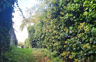 La Maison du Donjon - Gites de 8 personnes, parking privé avec jardin terrasse - Foto 21