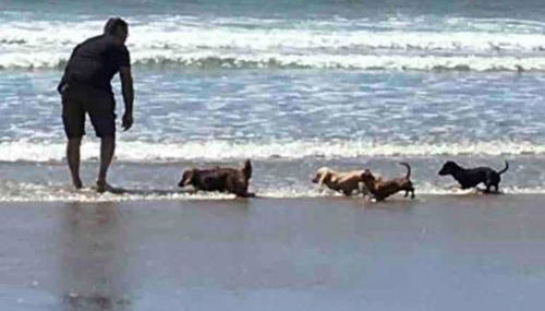 Quirky Cottage with Private Garden Nr New Quay Cardigan Bay - Foto 3