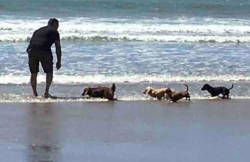 Quirky Cottage with Private Garden Nr New Quay Cardigan Bay - Photo 3