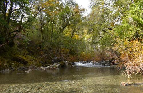 Caz-A-Verde - Foto 7