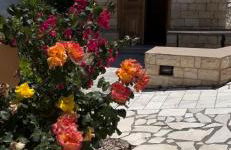 Taxiarchis - Foto 27