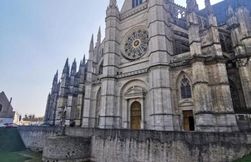 Chambre Jungle - Tout confort Saint Marceau - Foto 9