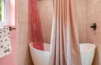 Unique Barbie-Themed Pink Cabin in Black Mountain, North Carolina - Foto 3