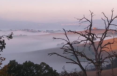 La casa di Cleo - Foto 27