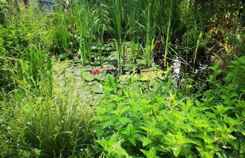 Colmar Friends and Familly guest home - ALL INCLUSIVE - COLMAR Gare - Jardin - Combles et Vous - Foto 72