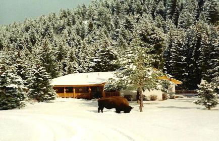 Picturesque Cottage for a Riverside Retreat near Big Sky, Montana - Foto 26