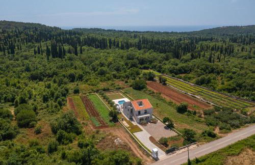 Green & Blue Five Bedroom Villa with Private Pool and Complete Privacy - Photo 49