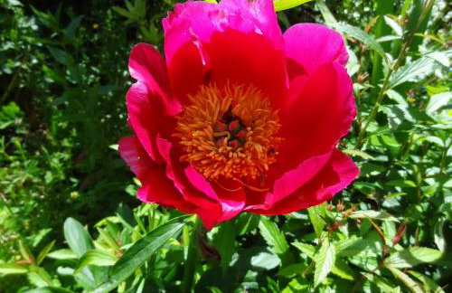 Coach House at The Glen - Foto 17