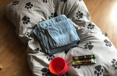 Ferienwohnung Poczewski - Foto 17