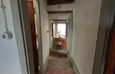 La Cannicciaia - Foto 27