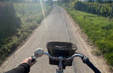 Große Ferienwohnung direkt an den Weinbergen - Foto 29