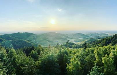 Ferienapartment Huber - Foto 21