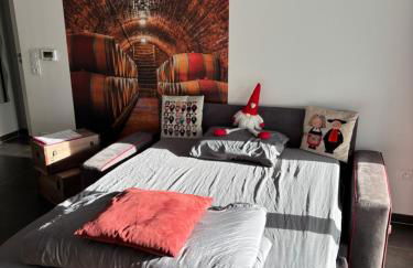 Le Riesling Colmar centre Charmant appartement avec terrasse et parking gratuit - Foto 17