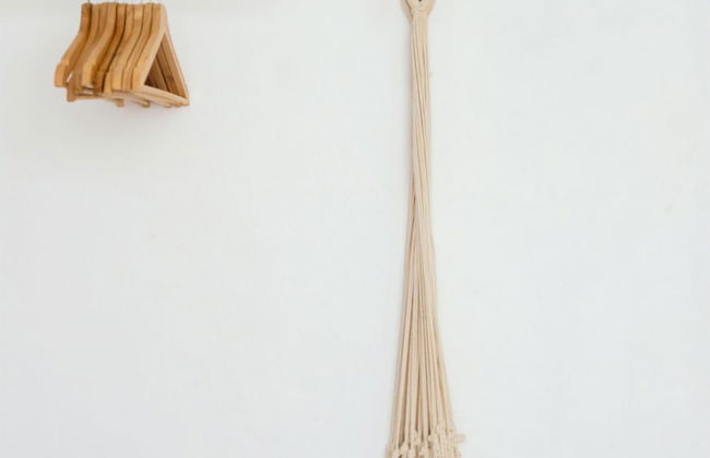 TROPICALIA by DW - Photo 14