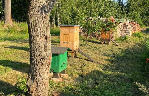 Agroturystyka Borów - Foto 25