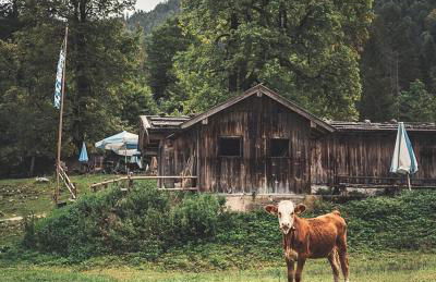 Zum Kistlerwirt - Foto 45