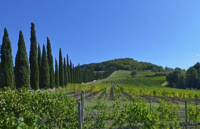 Villa Paradiso 8 in Sestriere - Foto 30