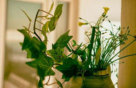 Kalimera Aegina - Foto 15