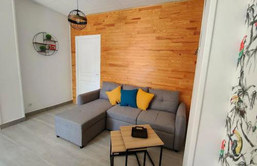 Martin Appartement Cambrai avec cour - Foto 14