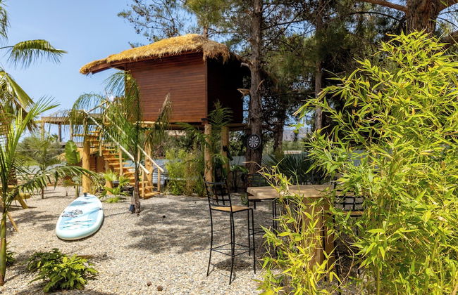 D Palm Premium Living - Foto 7