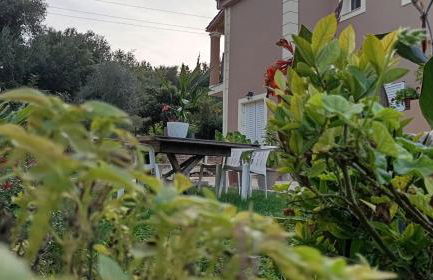 Venetton Garden House Corfu - Photo 41