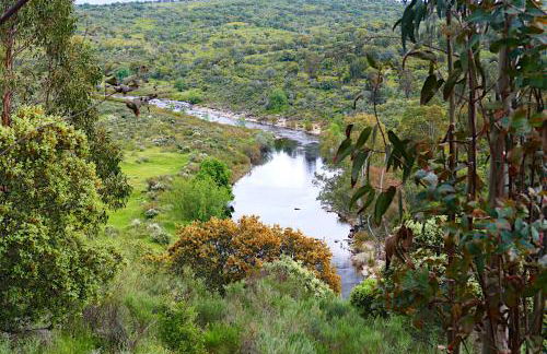 Herdade Clube Tiro Monfortinho - Foto 50