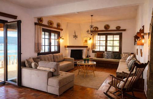 Blue Dandelion - Photo 16