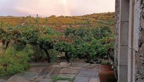 Casa do Adro - Solar Corte Real - Turismo de Habitação - Foto 5, Garden