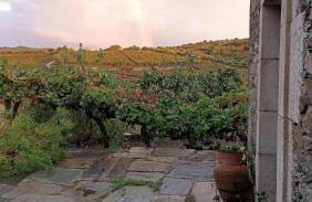 Casa do Adro - Solar Corte Real - Turismo de Habitação - Foto 5