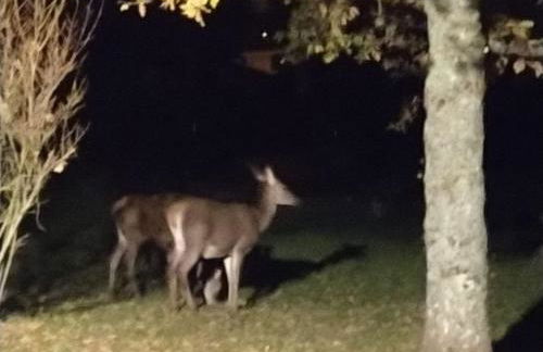 Chalet de montagne Pierre et Gaby non-fumeur hôte non professionnel - Foto 38