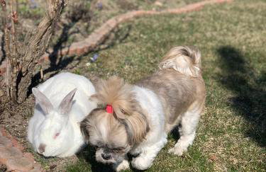 Agro na Wapniarni - Foto 31