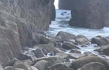 Robins nest, near Sennen Cove, 14 Beaches, Minack - Photo 38