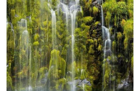 Hanland House - Foto 42