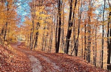 Holiday Home Mađerka - Foto 66