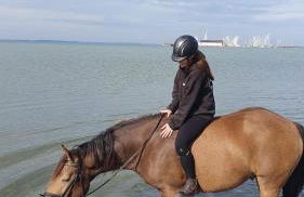 Ferienhaus Waldschlösschen - Foto 17