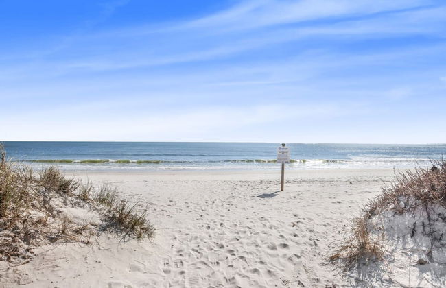 Sea Oats 102c- Beach View Pool 25 Steps to Beach - Photo 26