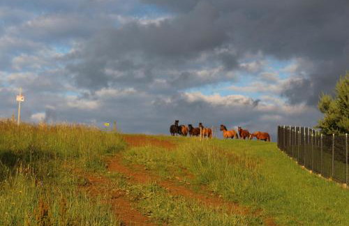 Ropuszy Dwór - Foto 44