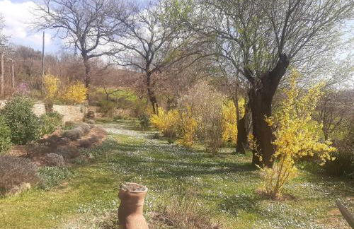 PERGOLA at Le Pietraie a cottage with many flowers - Foto 22