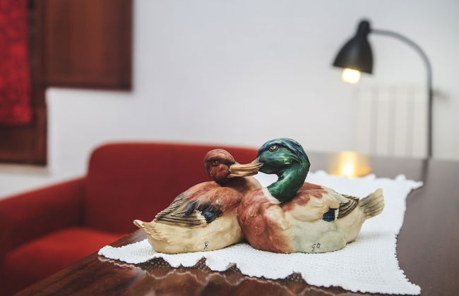 Case Vacanza Podere Risoino - Foto 47