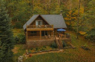 Lakefront Log Cabin, Private Lake Access w/Peloton - Foto 65